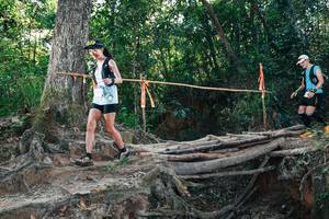 BIB: 
                            <button type="button" onclick="openModal(27753731)" class="btn btn-primary btn-sm float-right btn-popup" data-toggle="modal" data-target=".modal-high-quality">
                        <i class="fas fa-shopping-cart"></i> Add to Cart
                    </button>
                                            <button type="button" onclick="isThisMe(27753731, true)" class="btn btn-success btn-sm float-right btn-popup btn-isme hidden" data-toggle="tooltip" data-placement="bottom" title="นี่คือรูปของคุณใช่ไหม คลิกที่นี่เพื่อเอาเข้าอัลบั้ม">
                        <i class="fas fa-plus"></i> Add to album
                    </button>
                    <button type="button" onclick="isThisMe(27753731, false)" class="btn btn-warning btn-sm float-right btn-popup btn-isnotme hidden">
                        <i class="fas fa-ban"></i> Remove from album
                    </button>